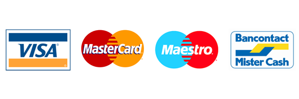 Secure Payment Gateways: Visa, Mastercard, Google Pay, Apple Pay